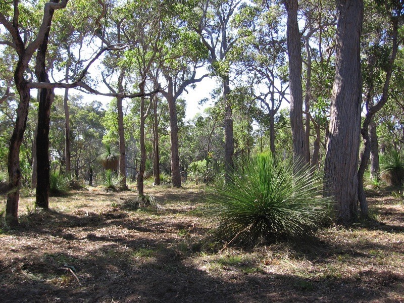 Lot 7 Yungarra Drive, Quedjinup WA 6281