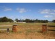 Lot 722, 46 Burke Circle, Cowaramup WA 6284