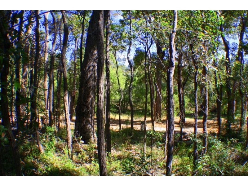 Lot 148, 5 Mulberry Mews, Cowaramup WA 6284