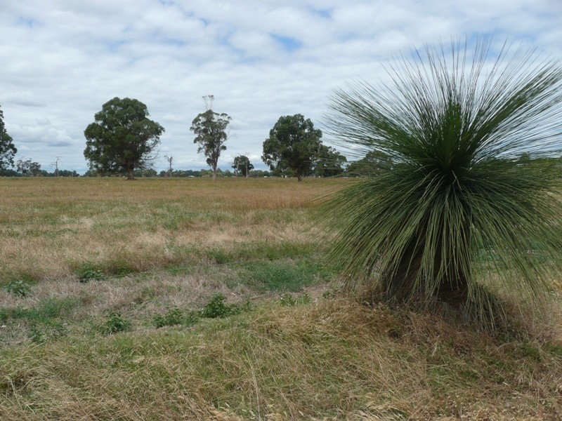 Lot 3882,  Yalyalup Road, Hithergreen WA 6280