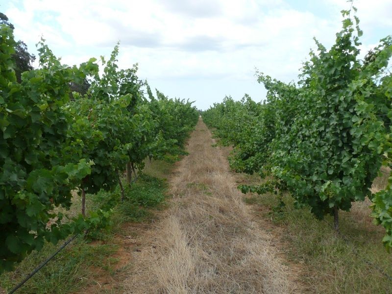 944 Boallia Road, Busselton WA 6280