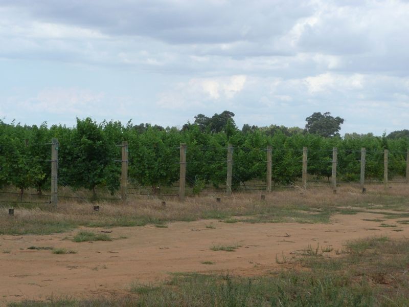 944 Boallia Road, Busselton WA 6280