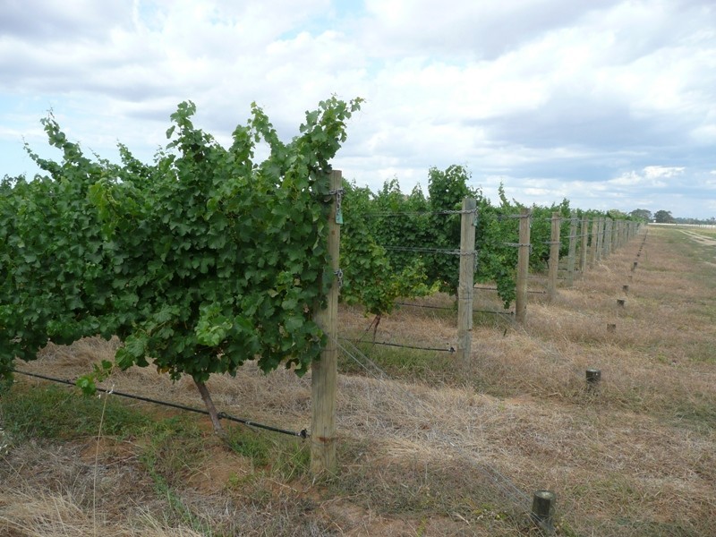 944 Boallia Road, Busselton WA 6280