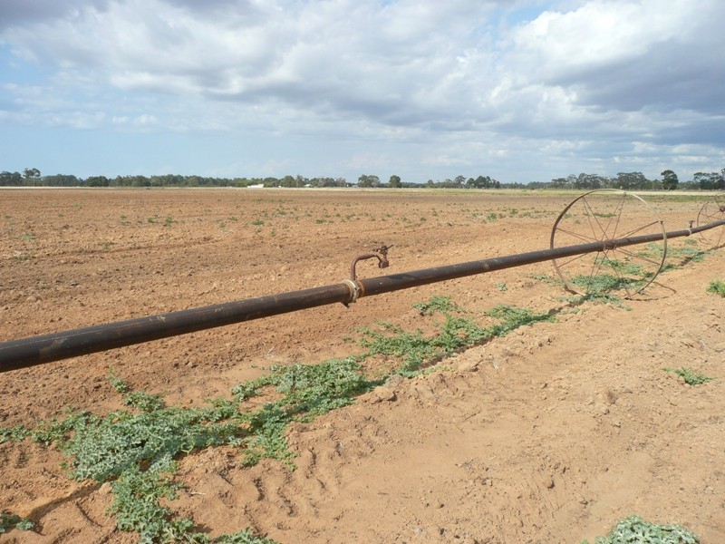 944 Boallia Road, Busselton WA 6280