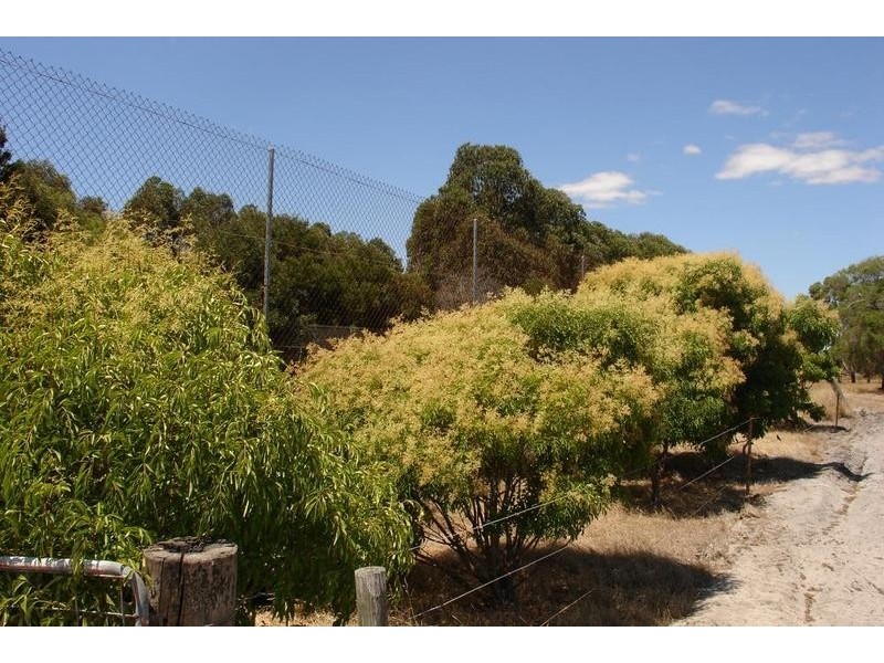 209 Kaloorup Road, Busselton WA 6280