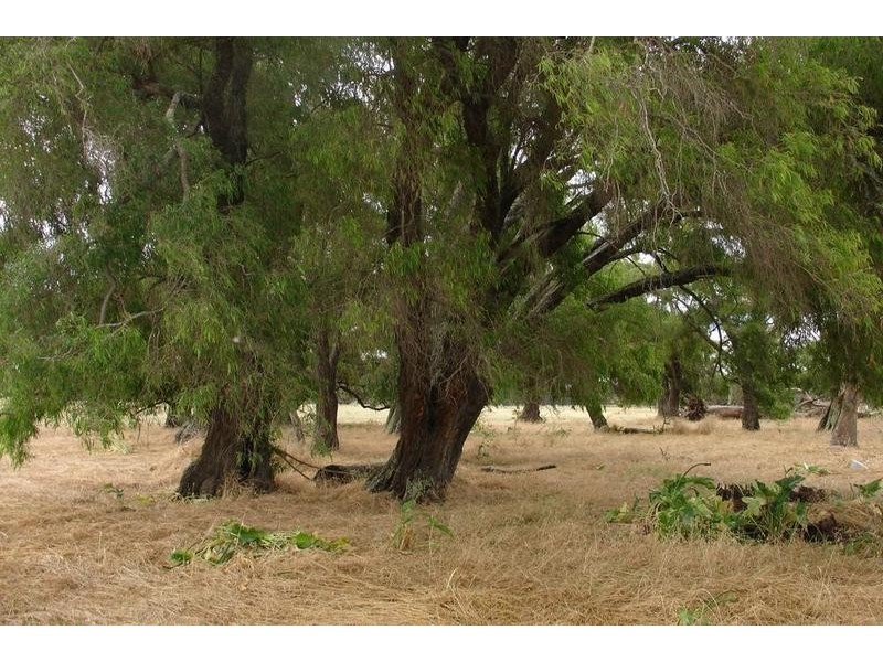 209 Kaloorup Road, Busselton WA 6280