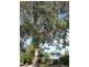 123 Silverwood Road, Metricup WA 6280