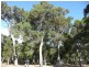 123 Silverwood Road, Metricup WA 6280