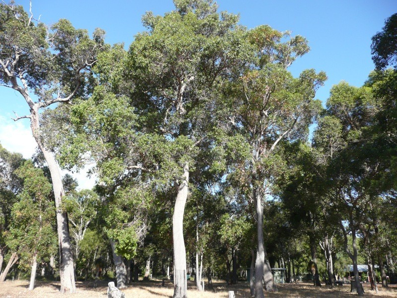 123 Silverwood Road, Metricup WA 6280