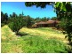 Boyanup WA 6237