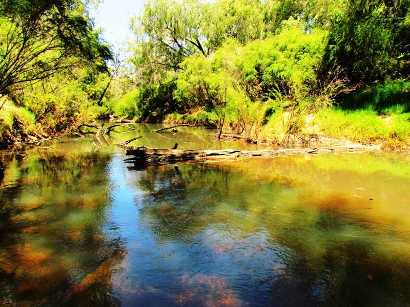 Boyanup WA 6237