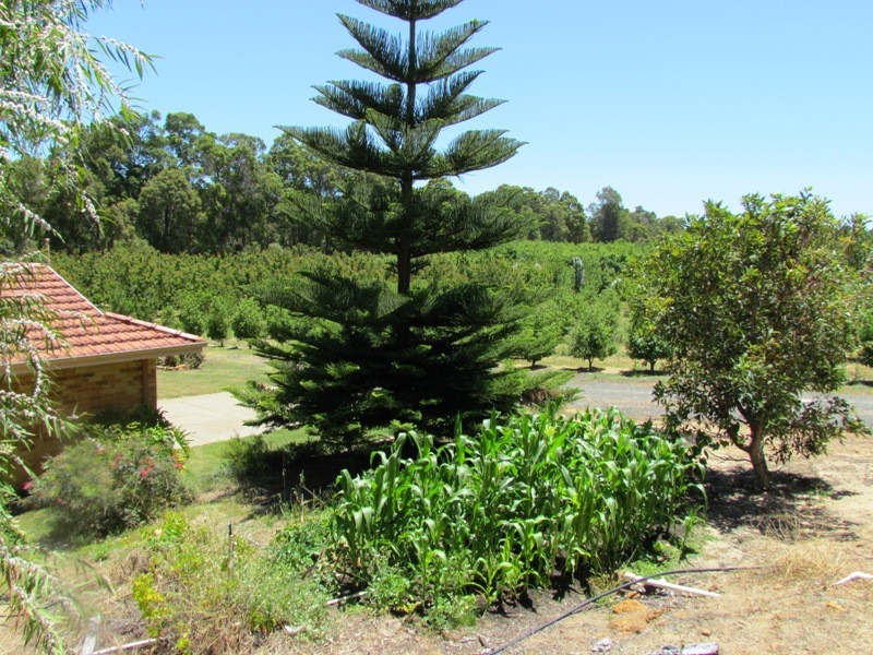 Boyanup WA 6237