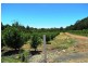 Boyanup WA 6237