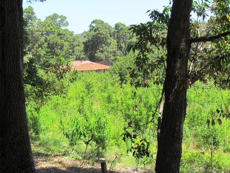 Boyanup WA 6237