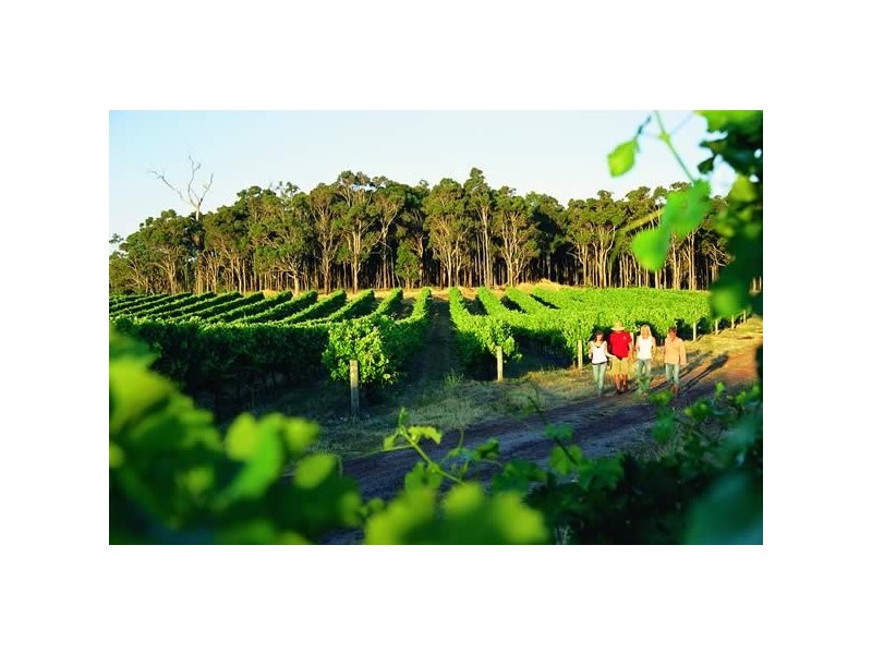 Lot 62, 14 Casuarina Court, Margaret River WA 6285