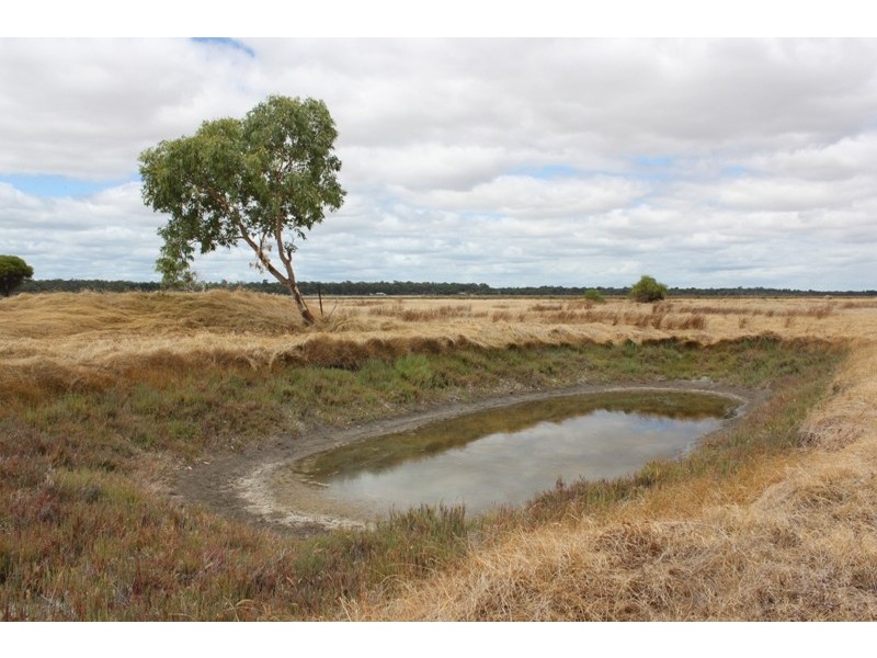 4 Ballarat Road, Wonnerup WA 6280