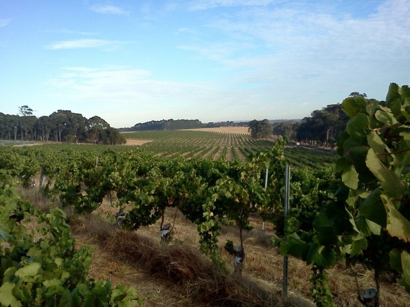 555 Harmans Mill Road, Wilyabrup WA 6280