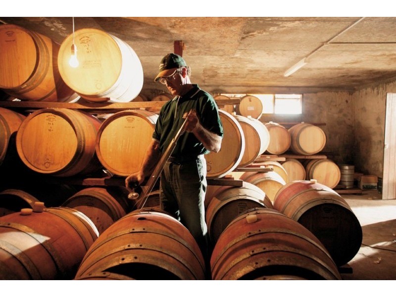 555 Harmans Mill Road, Wilyabrup WA 6280