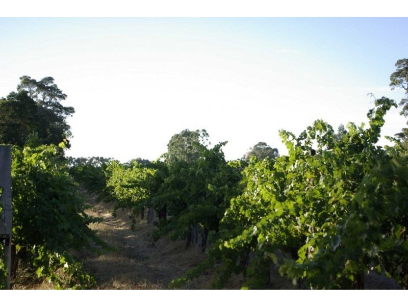 555 Harmans Mill Road, Wilyabrup WA 6280