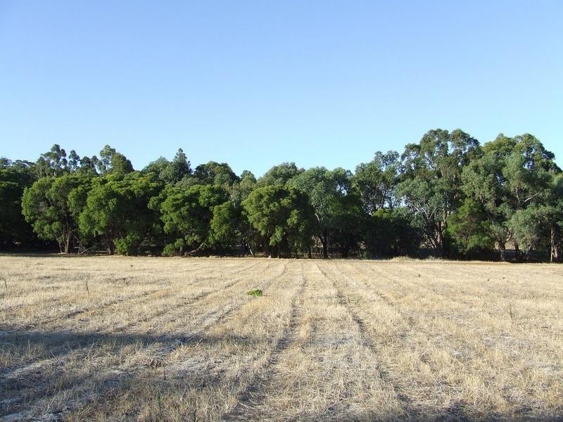 Lot 25, 84 Summerville Crescent, Yallingup Siding WA 6282