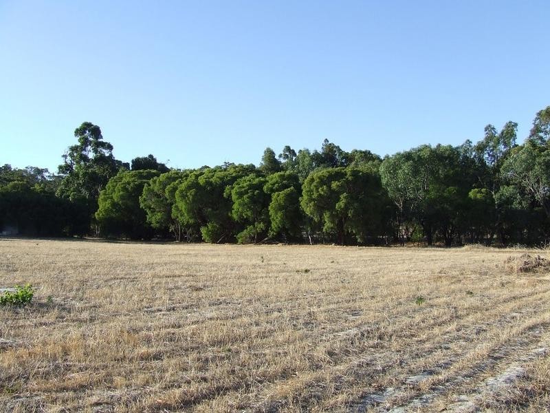 Lot 25, 84 Summerville Crescent, Yallingup Siding WA 6282