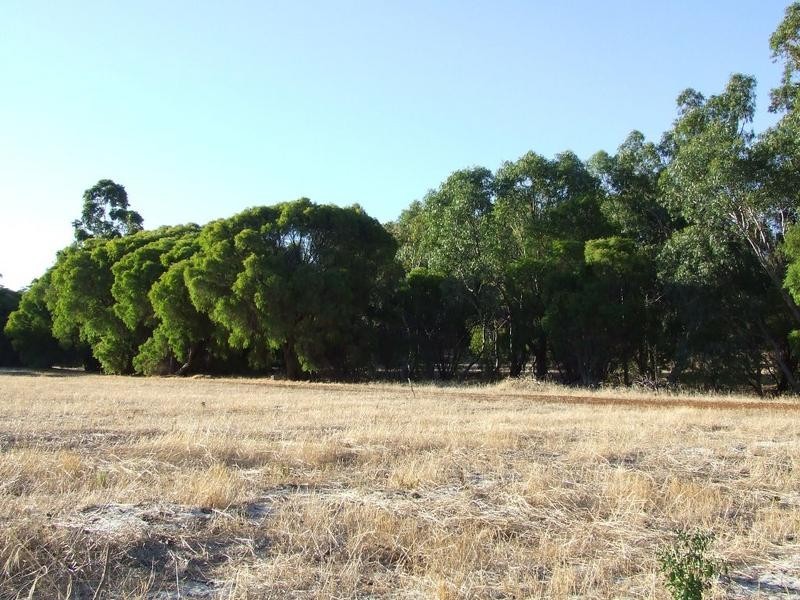 Lot 25, 84 Summerville Crescent, Yallingup Siding WA 6282