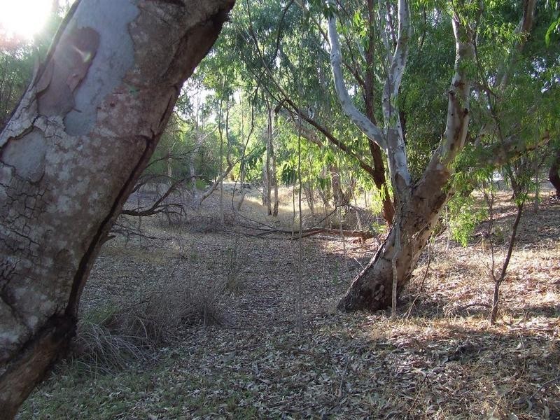 Lot 25, 84 Summerville Crescent, Yallingup Siding WA 6282