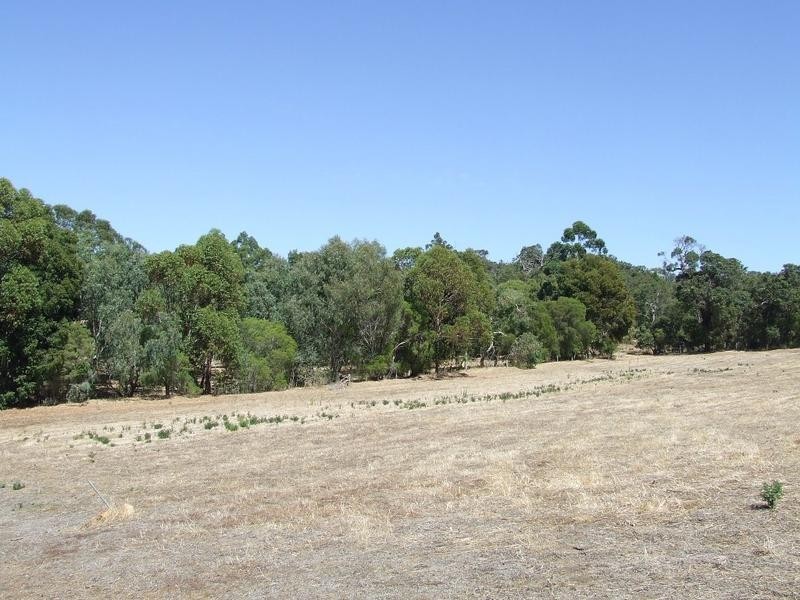 Lot 25, 84 Summerville Crescent, Yallingup Siding WA 6282