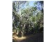 Lot 25, 84 Summerville Crescent, Yallingup Siding WA 6282