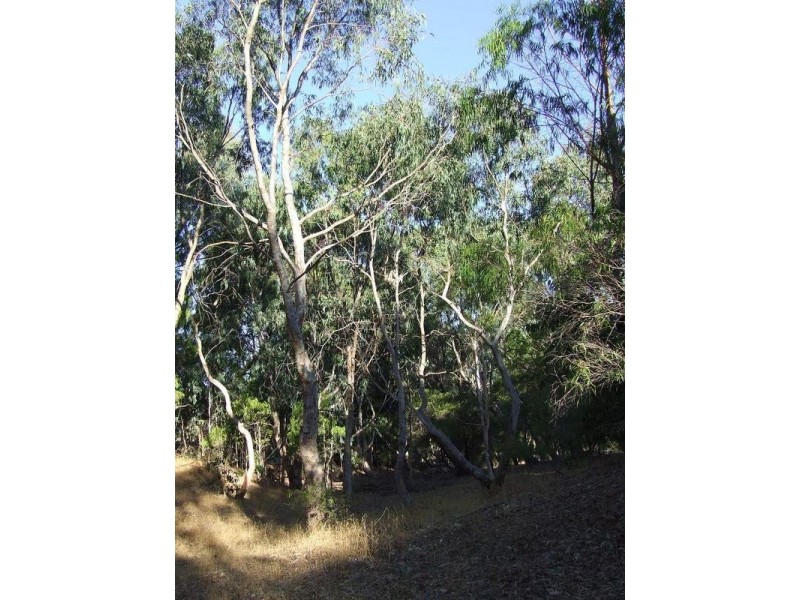 Lot 25, 84 Summerville Crescent, Yallingup Siding WA 6282