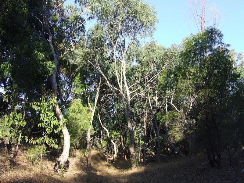 Lot 25, 84 Summerville Crescent, Yallingup Siding WA 6282