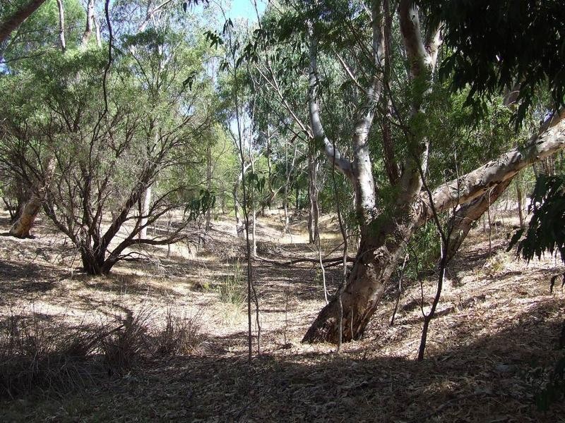 Lot 25, 84 Summerville Crescent, Yallingup Siding WA 6282