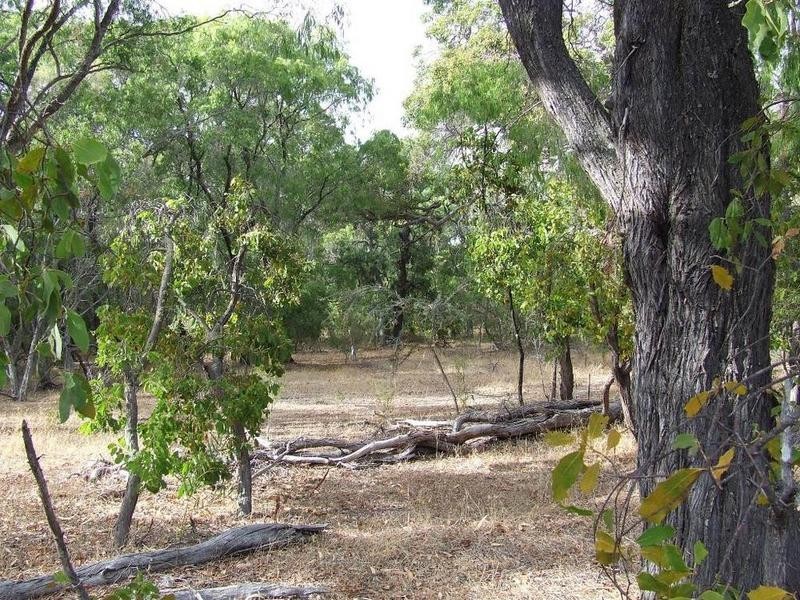 431 Okapa Rise, Dunsborough WA 6281