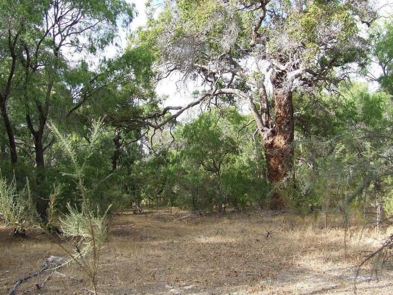 431 Okapa Rise, Dunsborough WA 6281