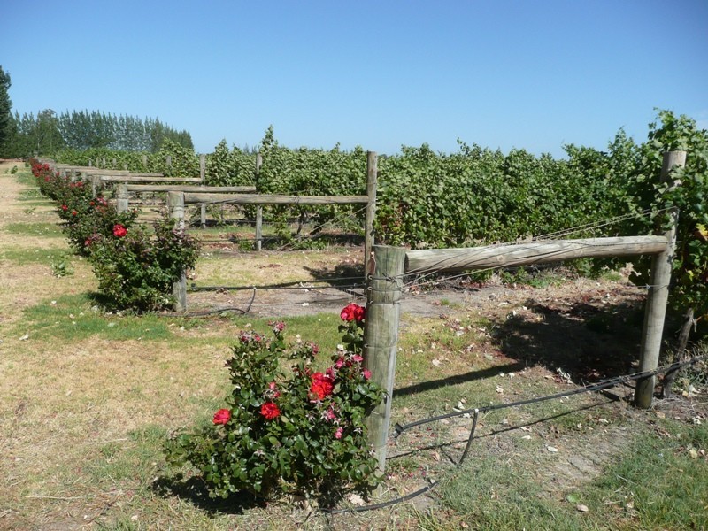 19018 South Western Highway, Donnybrook WA 6239