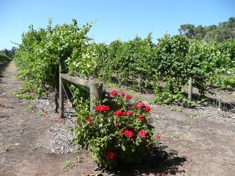 19018 South Western Highway, Donnybrook WA 6239