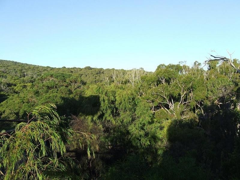 11/26 Yallingup Beach Road, Yallingup WA 6282