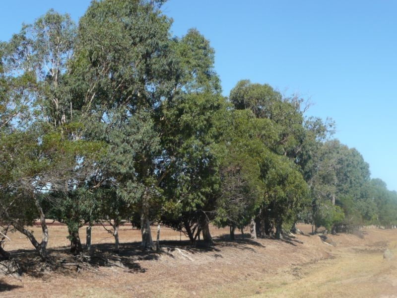 Lot 800, Lindberg Road, Busselton WA 6280