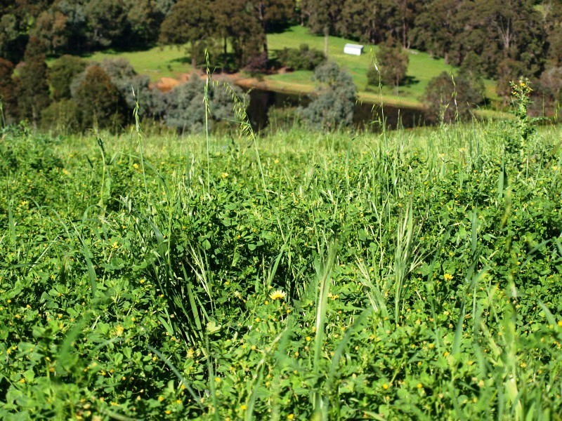 Crooked Brook WA 6236