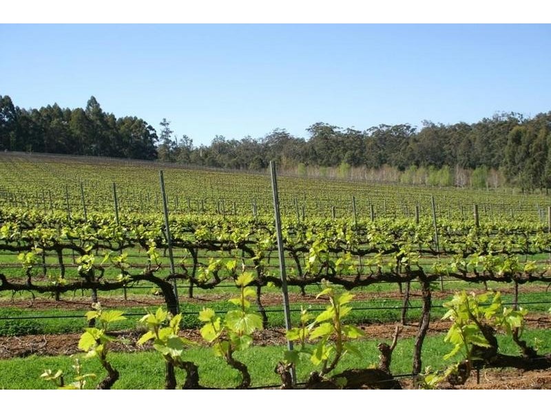 Phoenicia Estate Vasse Highway, Pemberton WA 6260