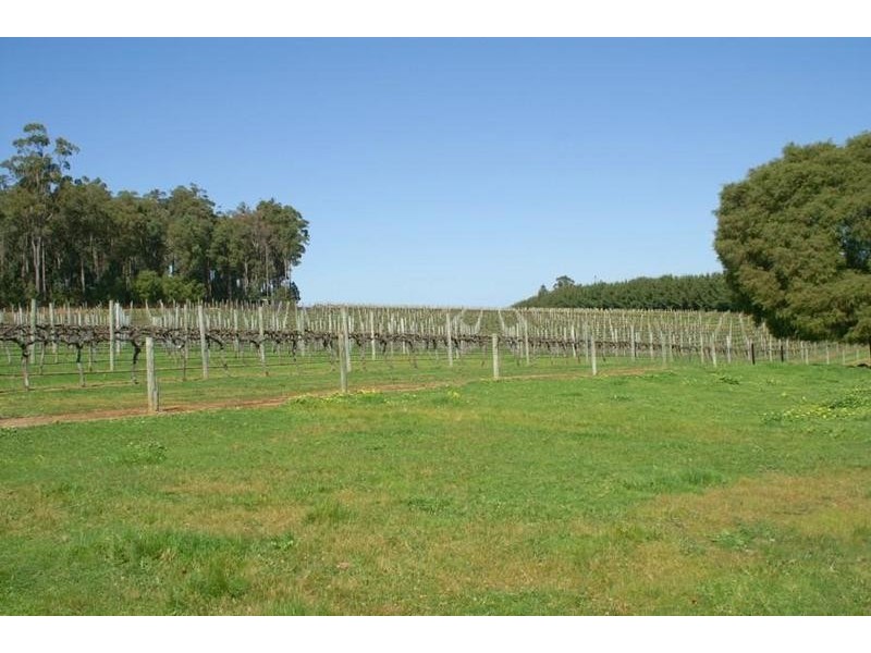 Phoenicia Estate Vasse Highway, Pemberton WA 6260
