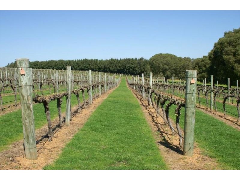Phoenicia Estate Vasse Highway, Pemberton WA 6260