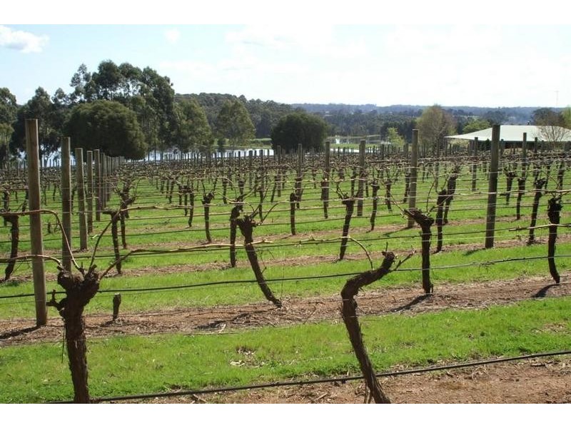 Phoenicia Estate Vasse Highway, Pemberton WA 6260
