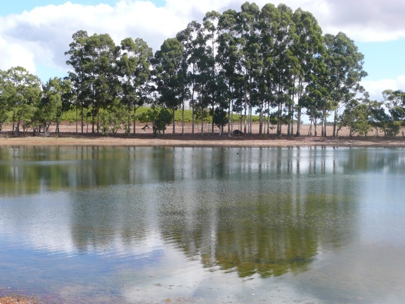 Phoenicia Estate Vasse Highway, Pemberton WA 6260