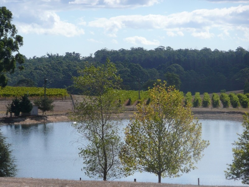 Phoenicia Estate Vasse Highway, Pemberton WA 6260