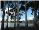 Phoenicia Estate Vasse Highway, Pemberton WA 6260