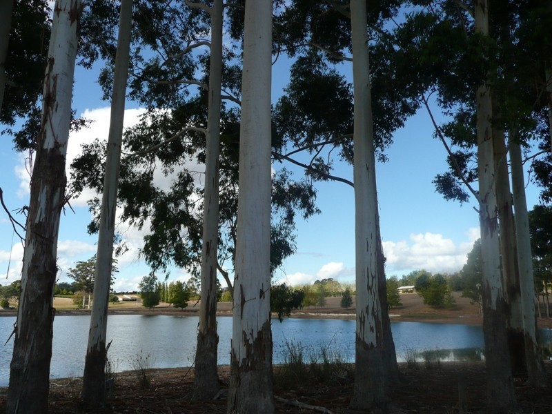 Phoenicia Estate Vasse Highway, Pemberton WA 6260