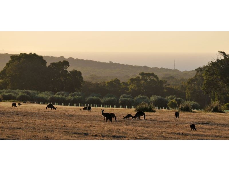 96 Sonning Loop, Yallingup WA 6282