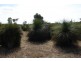 Lot 5,  Chambers Road, Busselton WA 6280