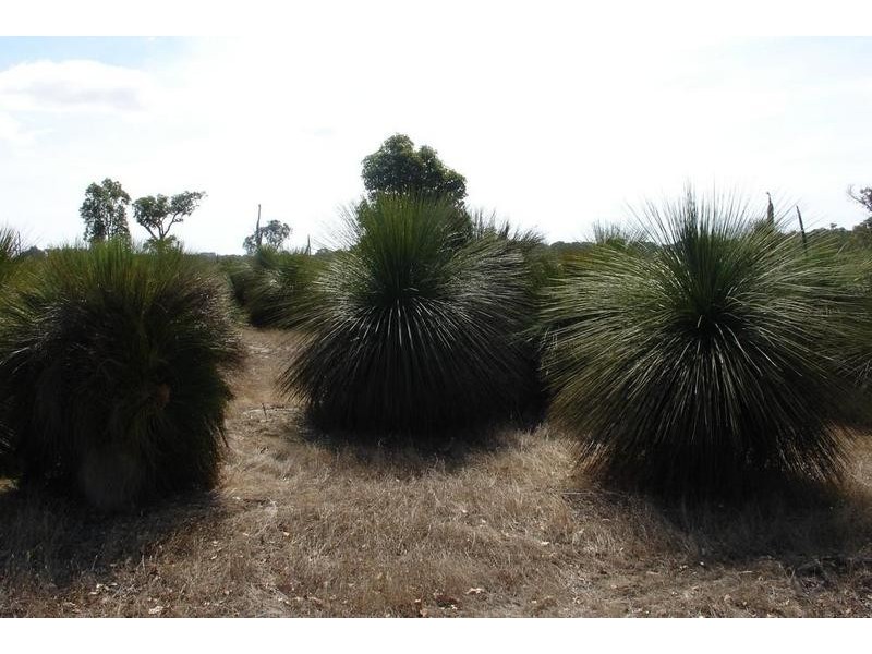 Lot 5,  Chambers Road, Busselton WA 6280